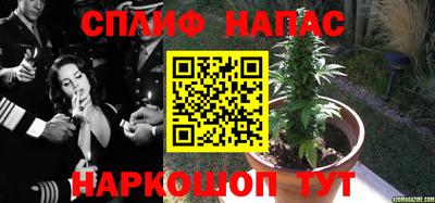 дживик Краснознаменск